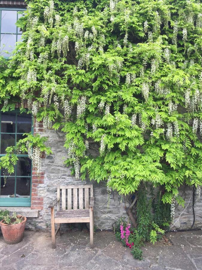 The Stable Yard House At Burtown House & Gardens Vila Athy Exterior foto